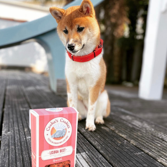 Lisboa Beet - Natürliche Hundesnacks mit Superfoods