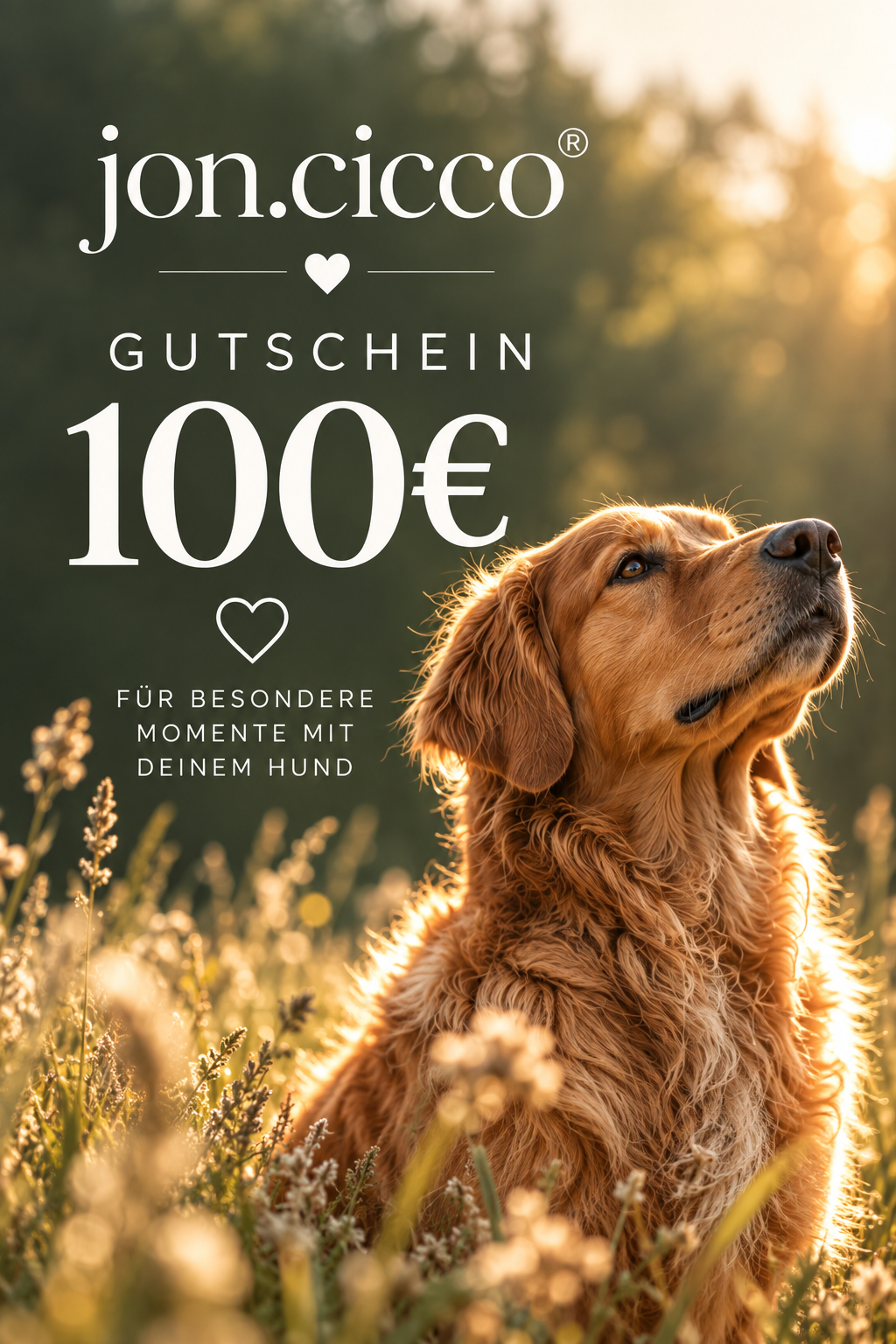 jon.cicco®-Gutschein
