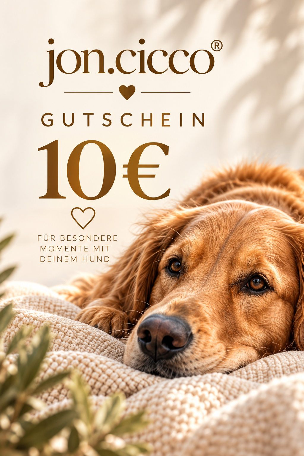 jon.cicco®-Gutschein