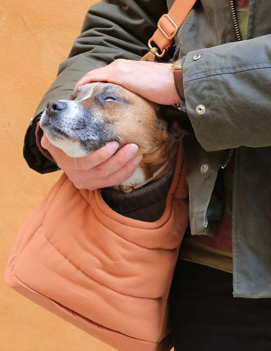 Hundetasche Rio hellbraun