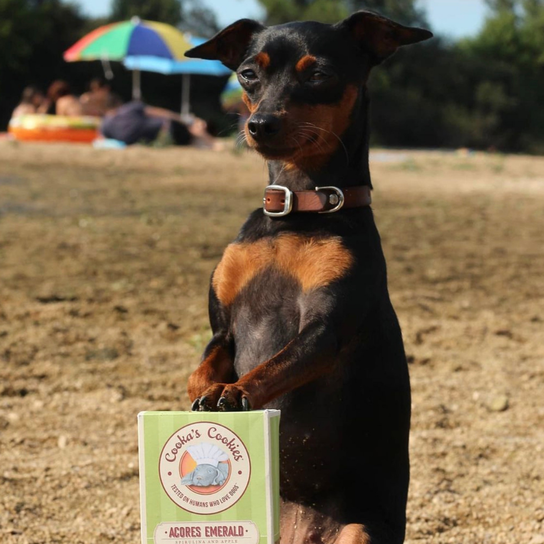 Porto Spirit - Natürliche Hundesnacks mit Superfoods