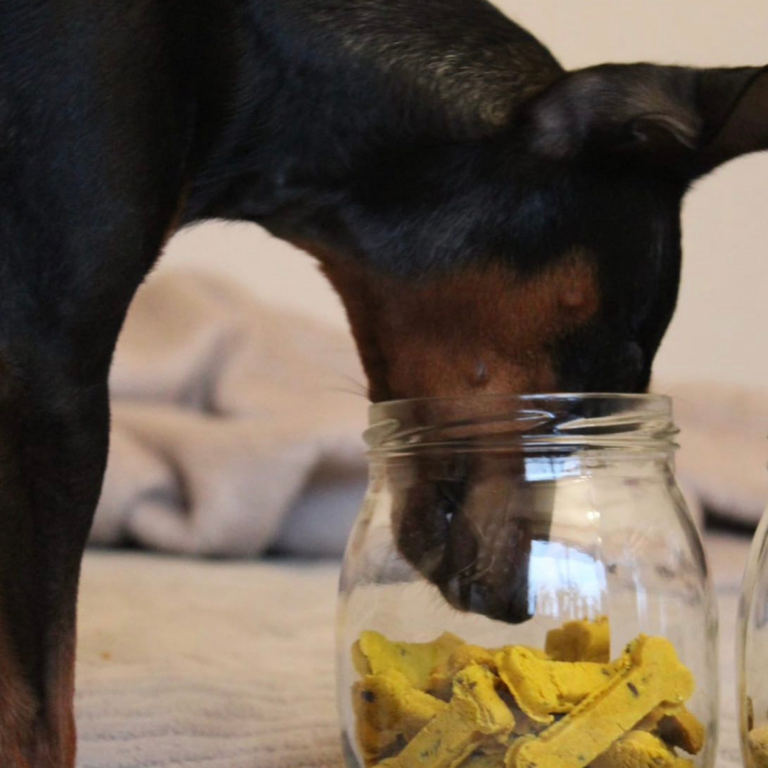 Sintra Bliss - Natürliche Hundesnacks mit Superfoods