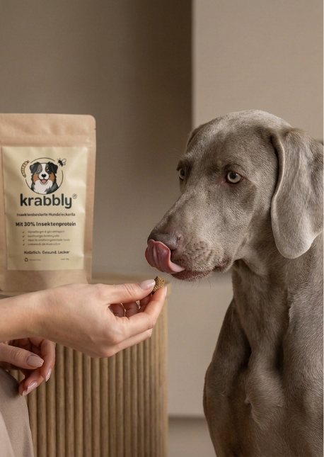 Hundefutter, Hundesnacks und Leckerlis