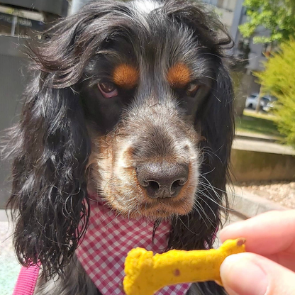 Sintra Bliss - Natürliche Hundesnacks mit Superfoods
