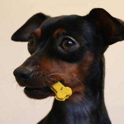 Sintra Bliss - Natürliche Hundesnacks mit Superfoods