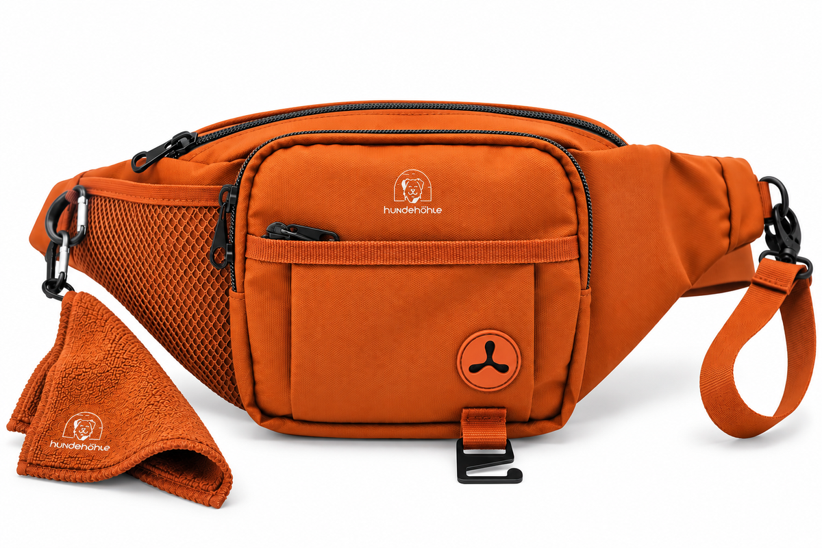 Gassibauchtasche Minon Schwarz – Kollektion Hundehöhle