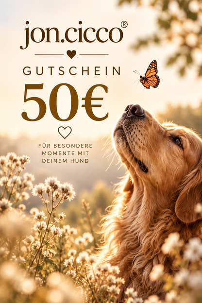 jon.cicco®-Gutschein