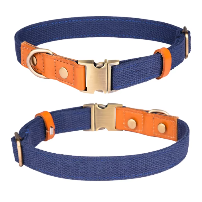 Hundeleinen- & Halsband-Set aus Nylon mit Lederdetails