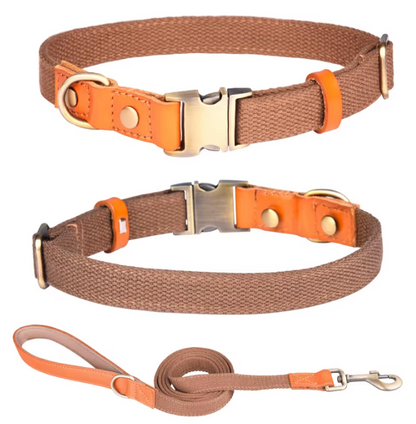 Hundeleinen- & Halsband-Set aus Nylon mit Lederdetails