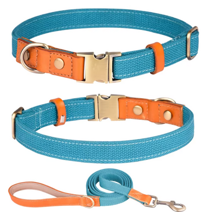 Hundeleinen- & Halsband-Set aus Nylon mit Lederdetails