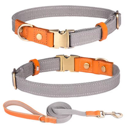 Hundeleinen- & Halsband-Set aus Nylon mit Lederdetails