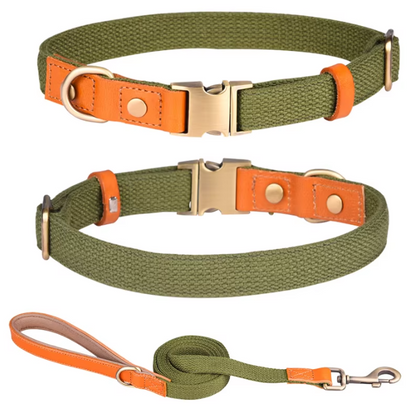Hundeleinen- & Halsband-Set aus Nylon mit Lederdetails