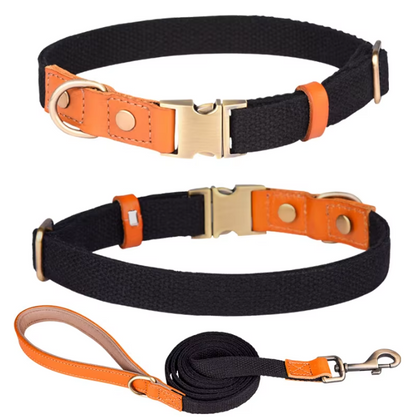 Hundeleinen- & Halsband-Set aus Nylon mit Lederdetails