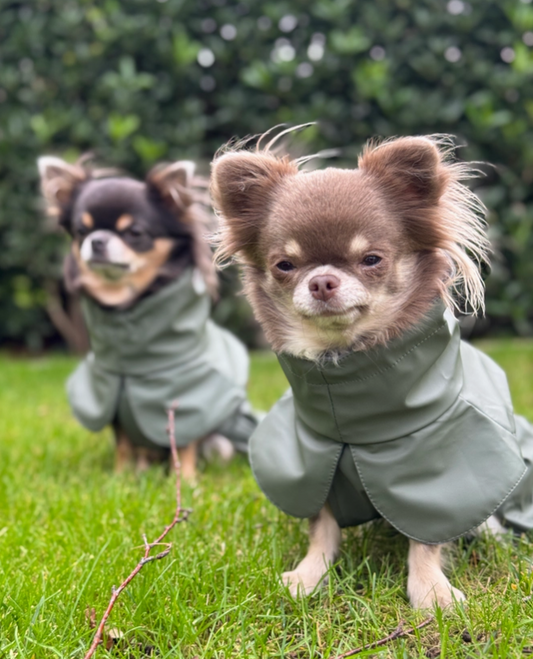 Hunderegenmantel khaki