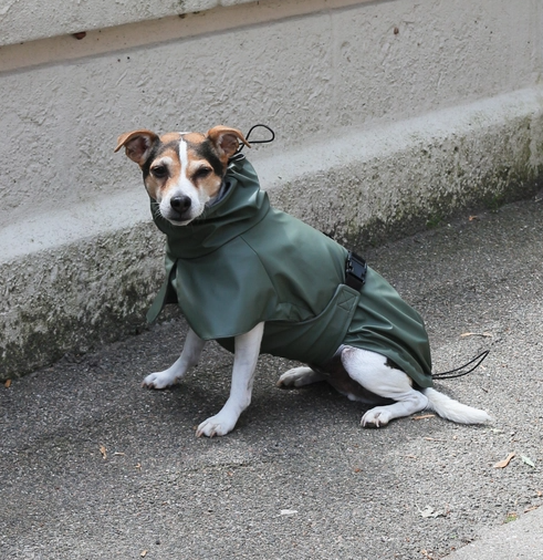 Hunderegenmantel khaki