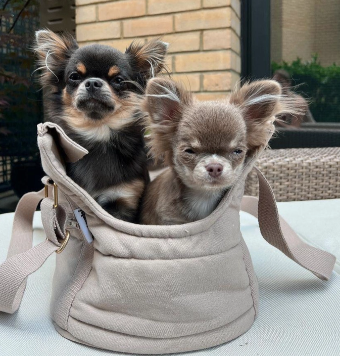 Hundetasche Rio sandfarben