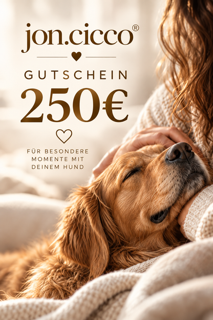 jon.cicco®-Gutschein
