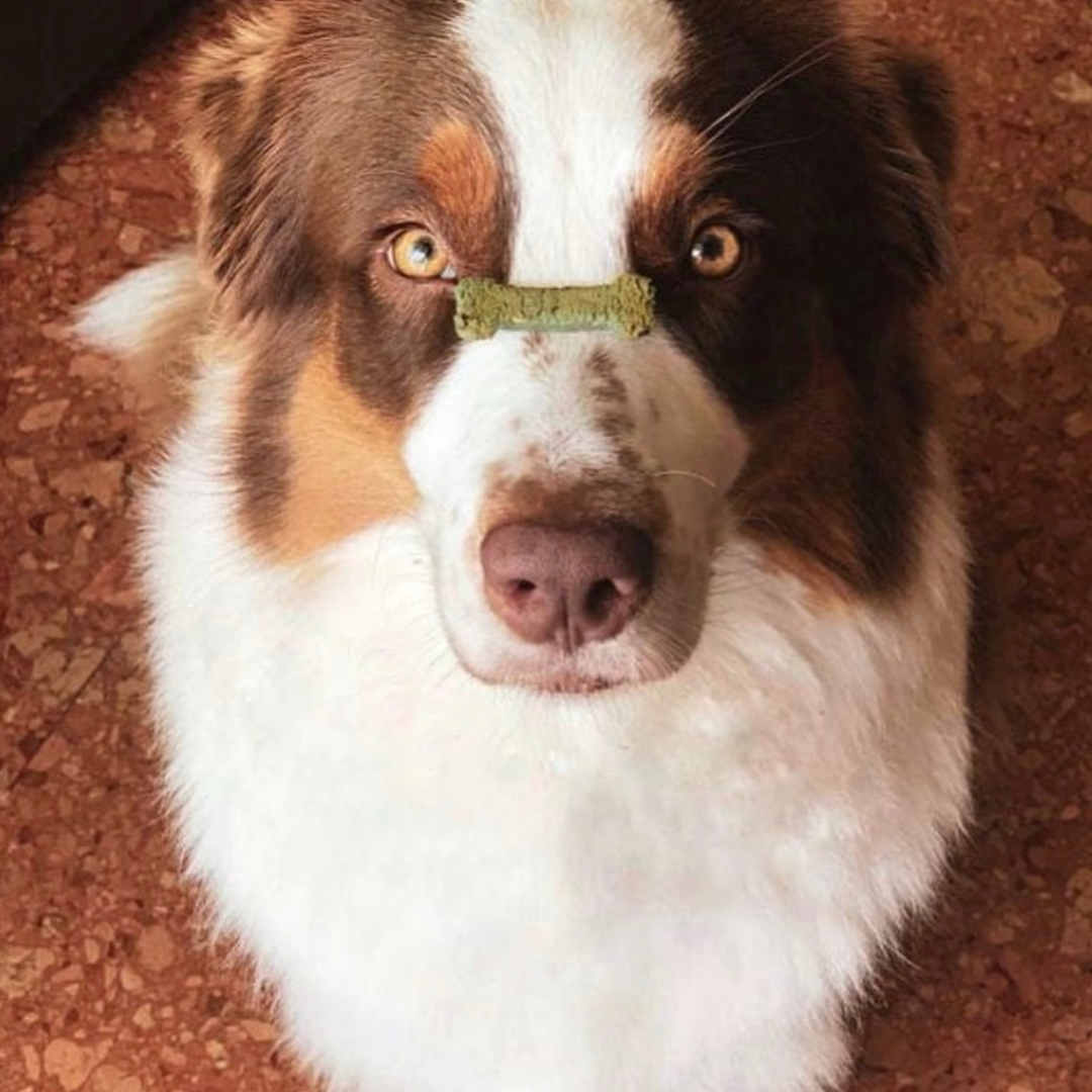 Porto Spirit - Natürliche Hundesnacks mit Superfoods