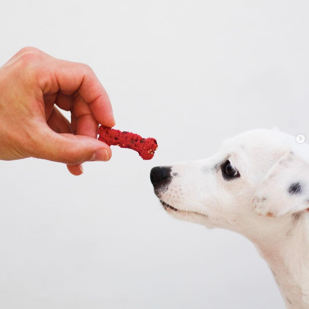 Lisboa Beet - Natürliche Hundesnacks mit Superfoods